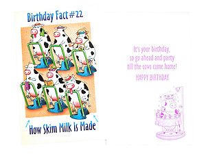 Till The Cows Come Home ~ Happy Birthday Card