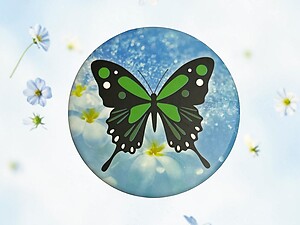 Butterfly Theme Folding Makeup Round Compact Mirror