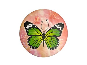 Butterfly Theme Folding Makeup Round Compact Mirror