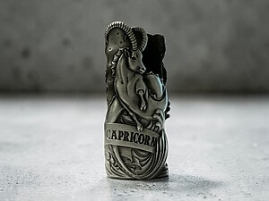 Capricorn Zodiac Astrology Lighter Case Fits Bic Lighters