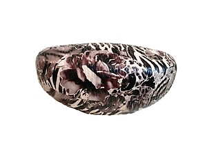 Black Floral & Tiger Print Hard Clamshell Eyeglass / Sunglass Case