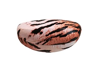 Orange Tiger Print Textured Hard Clamshell Eyeglass / Sunglass Case