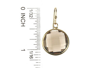 Brown Round Cut Faceted Lucite Stone Metal Frame Fish Hook Earrings