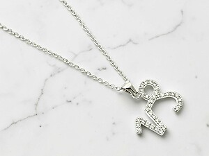 Capricorn Cubic Zirconia Horoscope Necklace