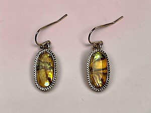 Lt. Natural Stone Pattern Oval Faceted Lucite Stone Metal Frame Fish Hook Earrings