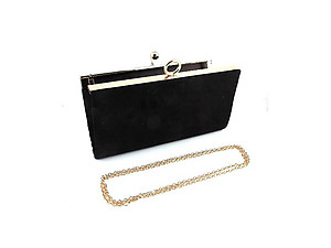 World Traveler Fashion Clutch Evening Bag