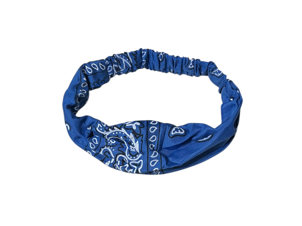 Blue Paisley Wide Headband Hair Accessory w/ Elastic Back