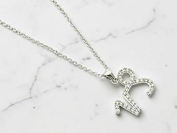 Capricorn Cubic Zirconia Horoscope Necklace