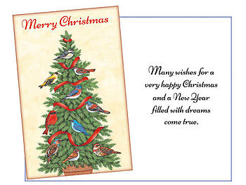 Filled With Dreams Come True ~ 6 Pack Holiday Greeting Cards