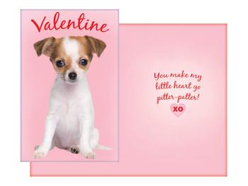 Pitter-Patter ~ Valentine's Day Card